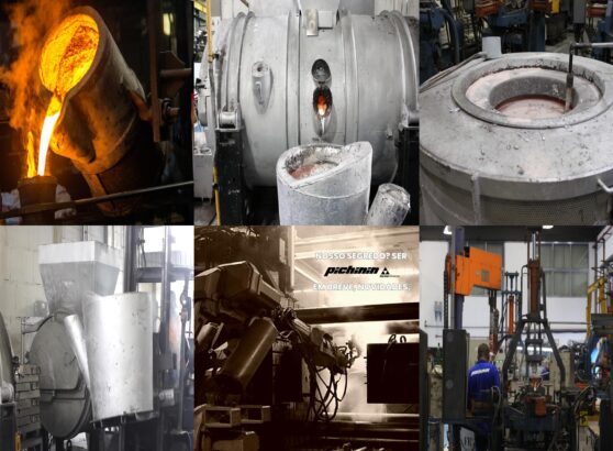 Pichinin Acme Alliance